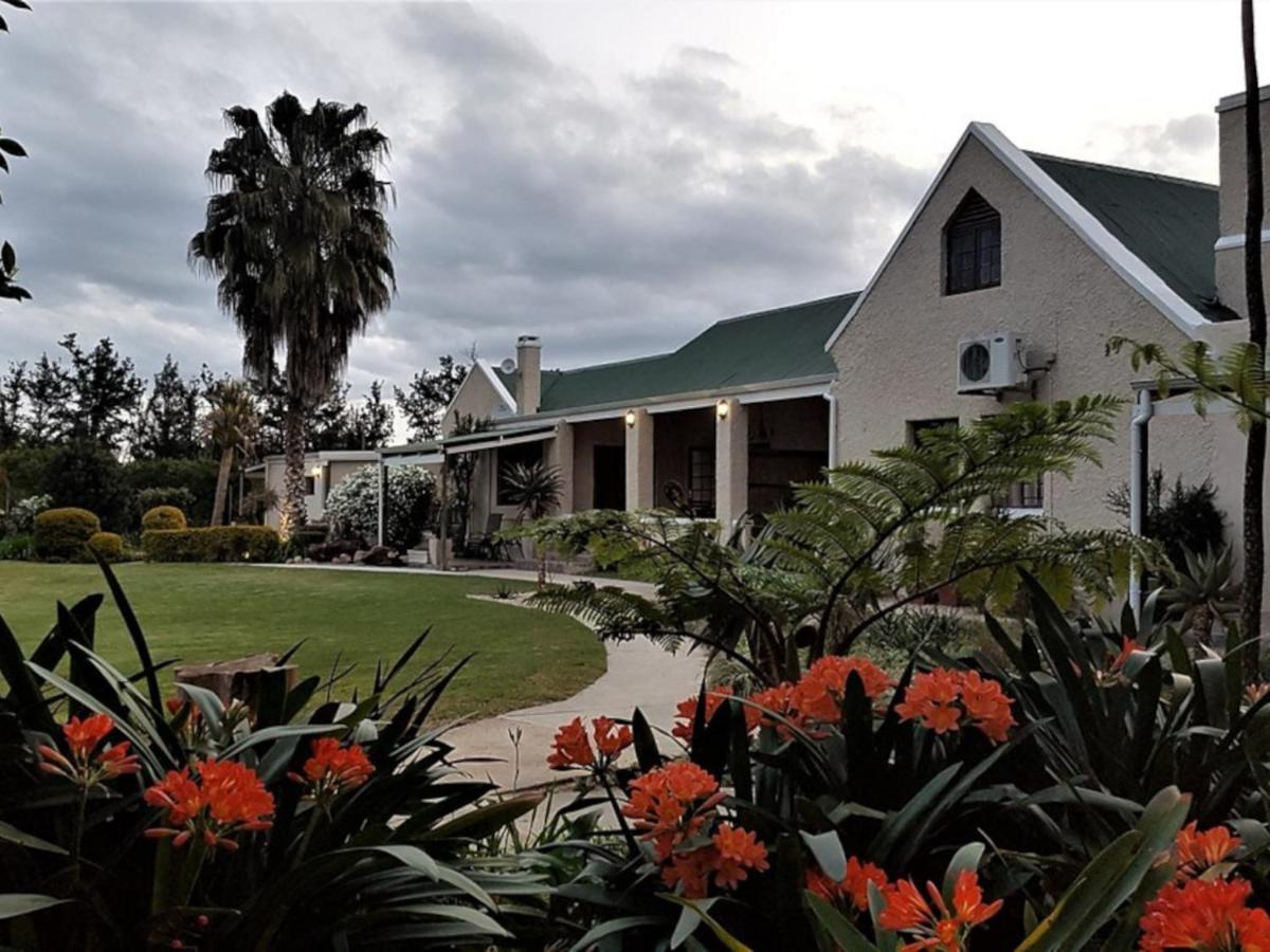 אדו Silos Guesthouse מראה חיצוני תמונה